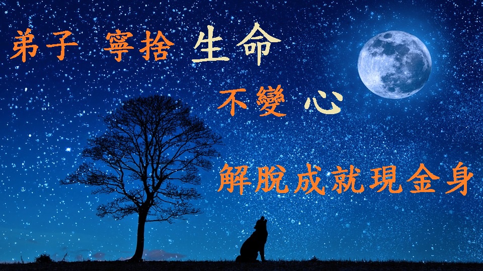 義雲高(H.H. 第三世多杰羌佛)