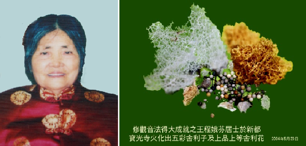 學習仰諤益西諾布大法王佛法