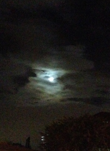 (第三世多杰羌佛佛法)