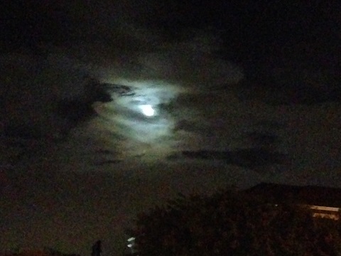 (第三世多杰羌佛佛法)