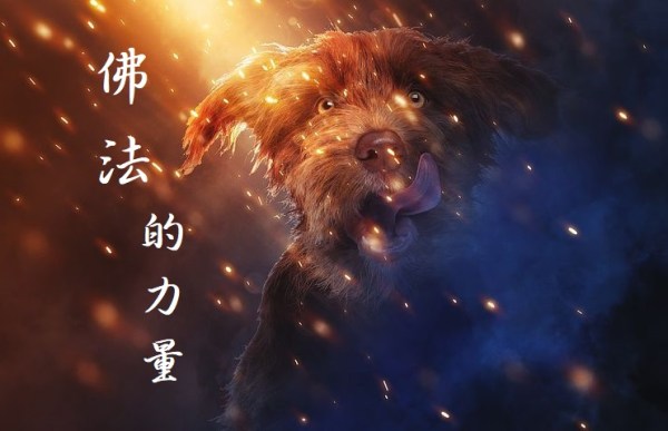 佛法的力量，感恩第三世多杰羌佛