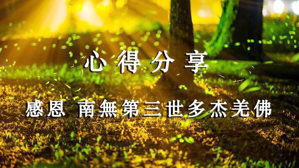 感恩 南無第三世多杰羌佛