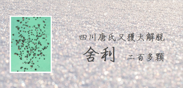 仰諤益西諾布大法王佛法