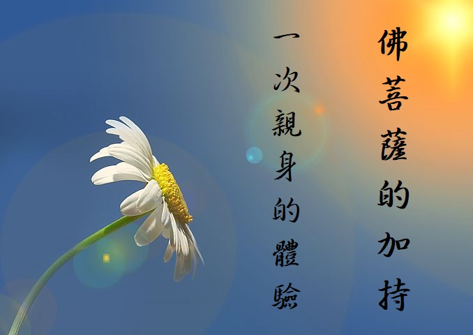 學習第三世多杰羌佛佛法