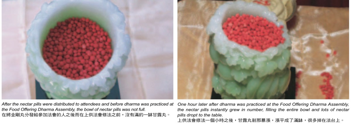 學習多杰羌佛佛法