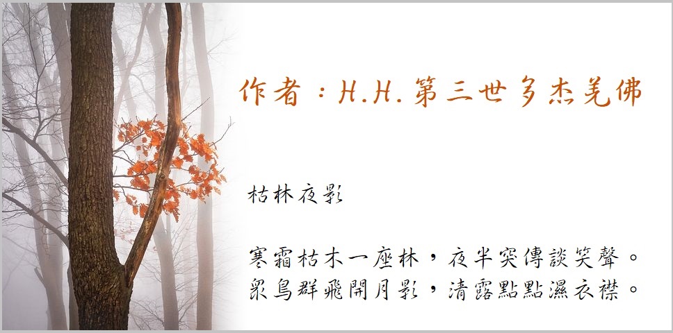 H.H.第三世多杰羌佛 佛法