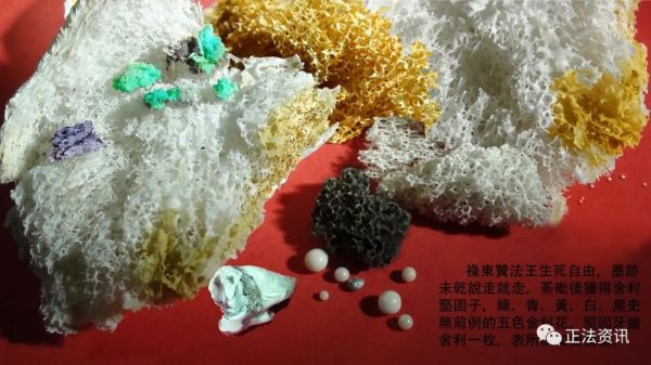 學習 第三世多杰羌佛 佛法