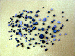 多杰洛桑法王荼毗火化後拾得的141枚舍利子。