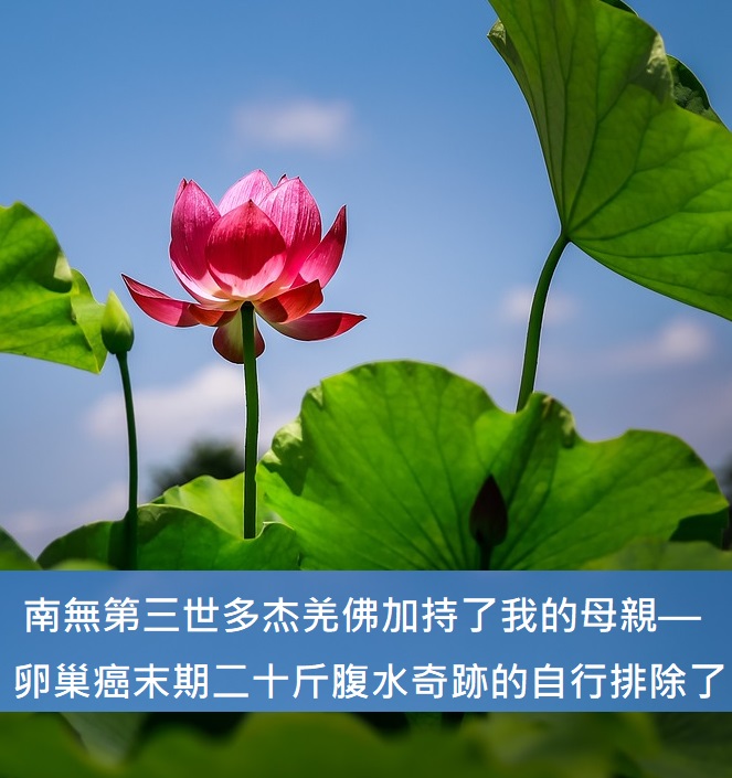 第三世多杰羌佛