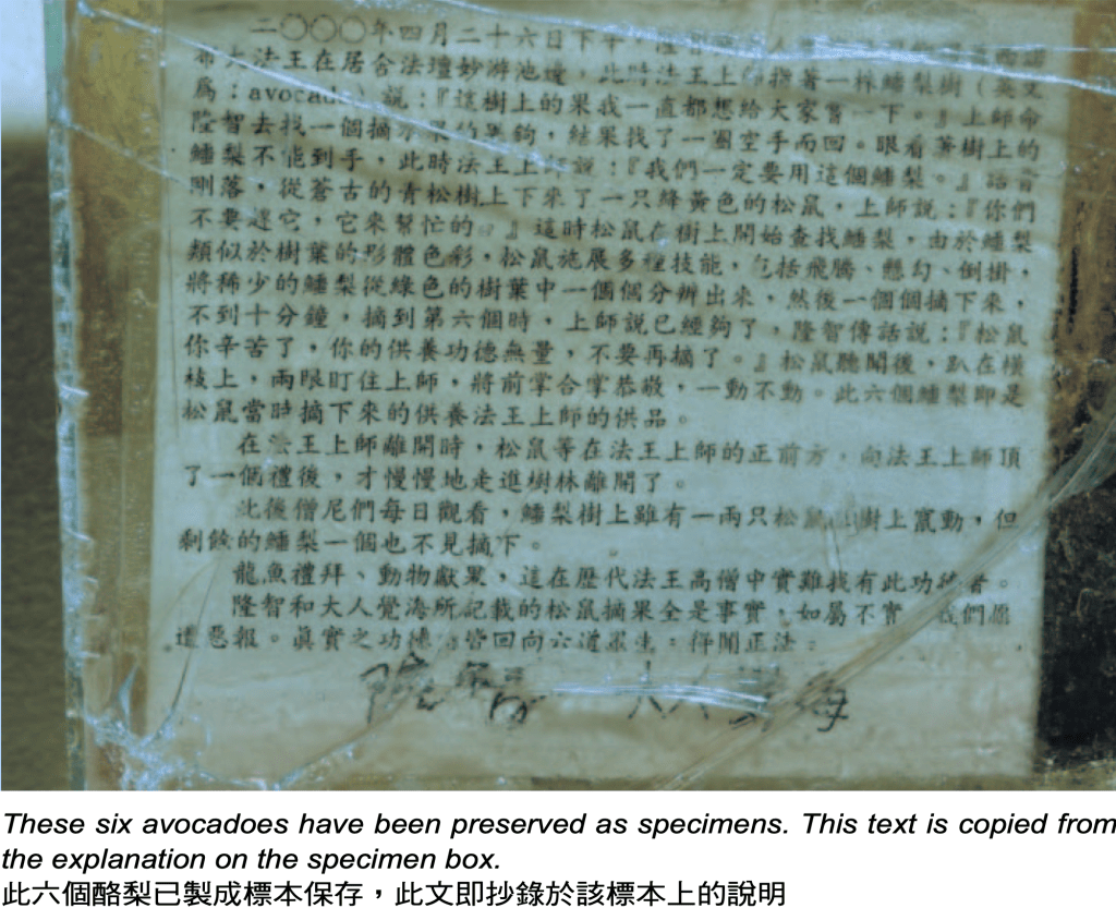 松鼠獻酪梨給三世多杰羌佛
多杰羌佛第三世
第三世多杰羌佛