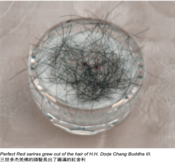 第三世多杰羌佛髮舍利
髮舍利
舍利