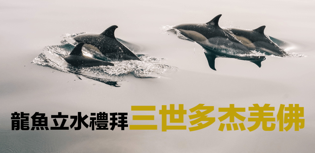 龍魚立水 三世多杰羌佛 第三世多杰羌佛 義雲高