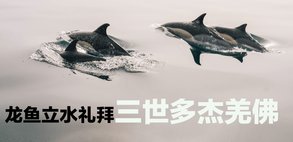 第三世多杰羌佛