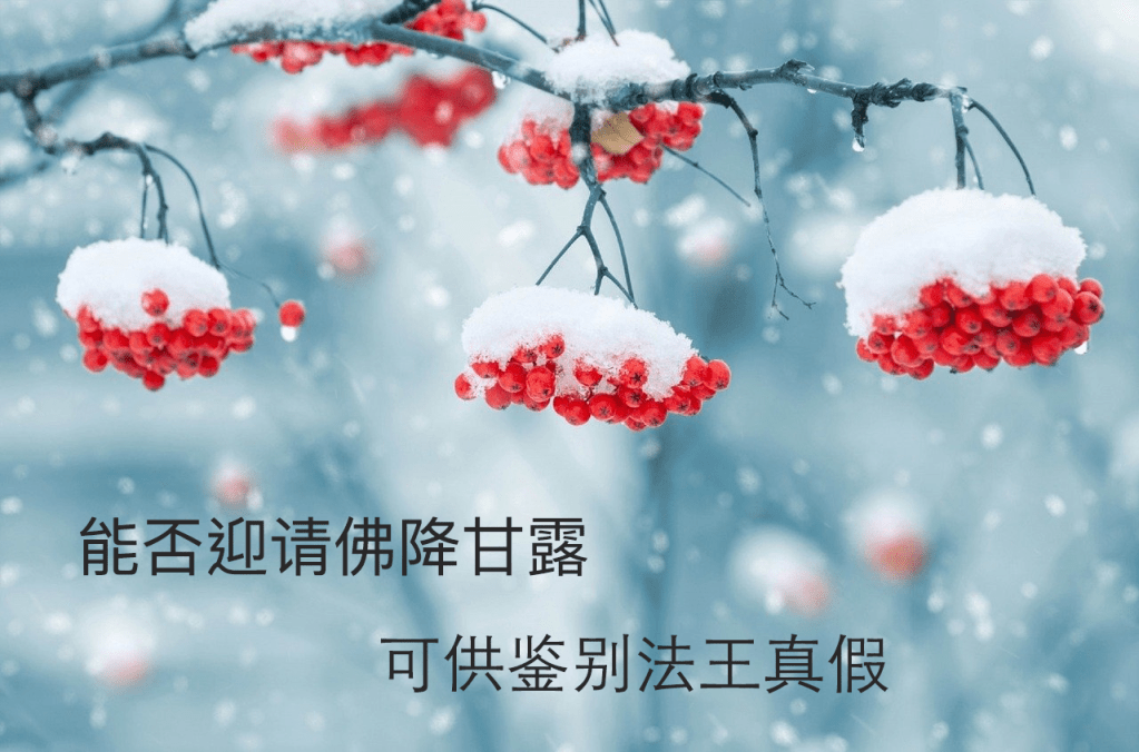 义云高 义云高大师 密乘法王 五明