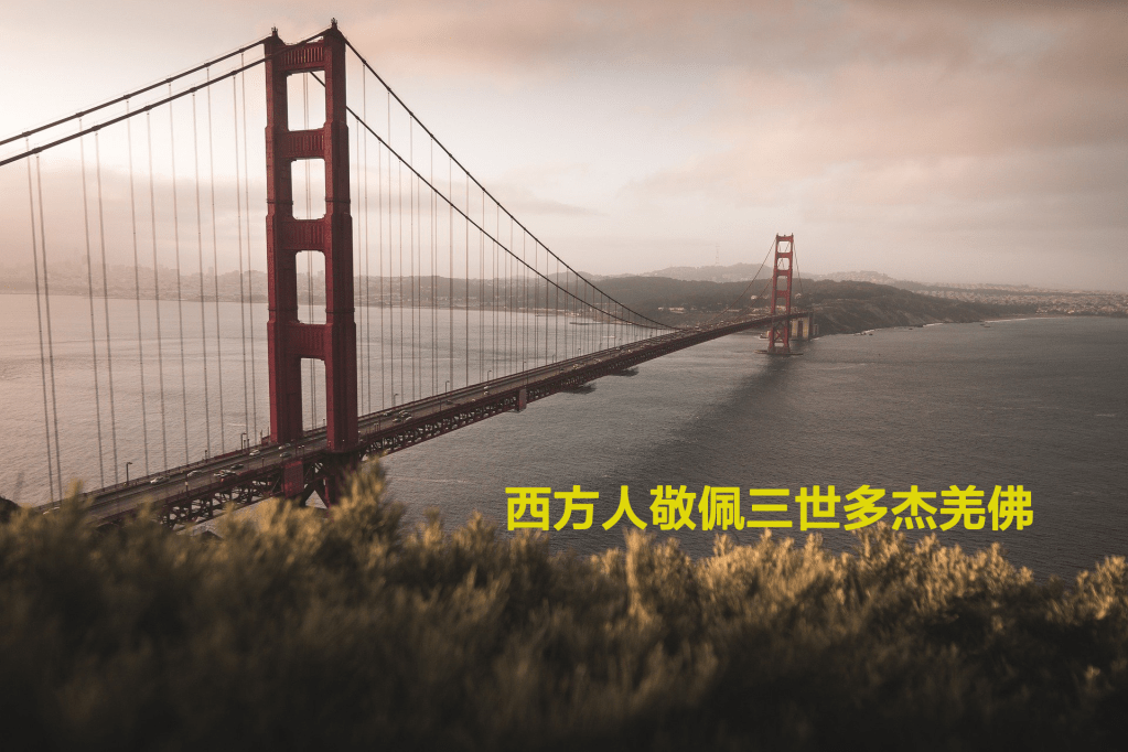 第三世多杰羌佛
多杰羌佛
多杰羌佛第三世
義雲高
义云高