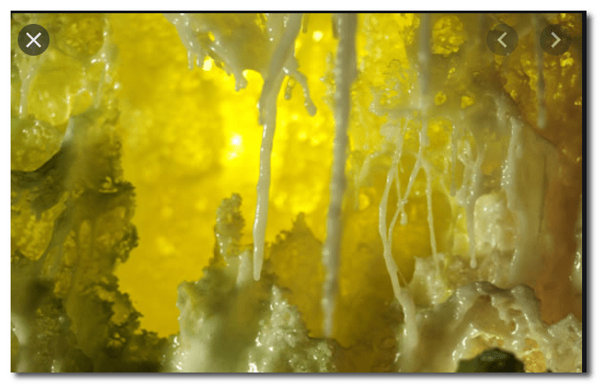 韻雕
第三世多杰羌佛