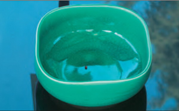 祿東贊法王修金剛換體禪令神識出體取物