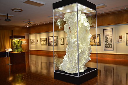 第三世多杰羌佛韻雕
第三世多杰羌佛
玉乳山
綠玉雕紗棚