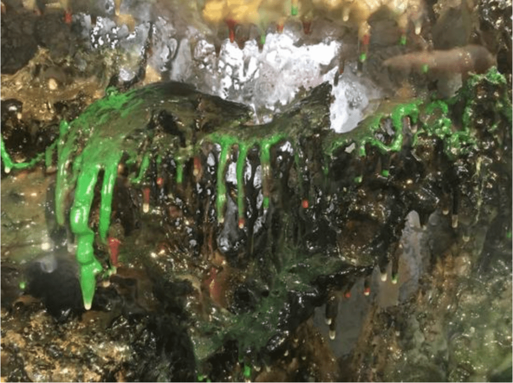 第三世多杰羌佛 的藝術境界，已經超越了人類雕塑歷史的頂峰...