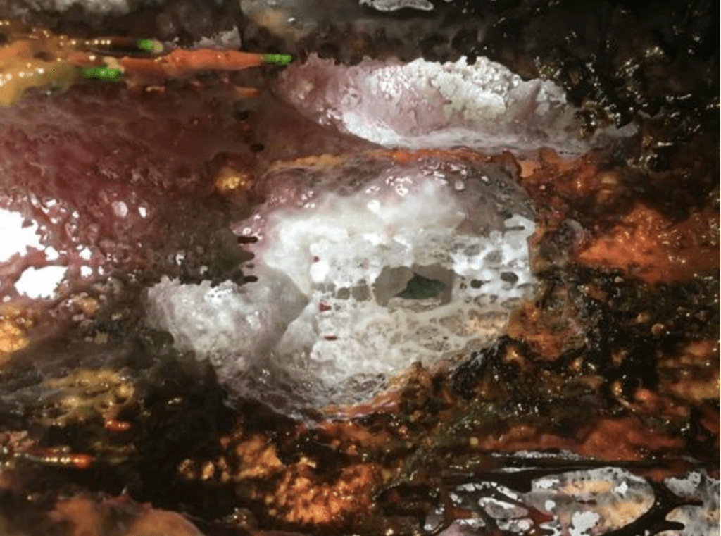 第三世多杰羌佛 的藝術境界，已經超越了人類雕塑歷史的頂峰...